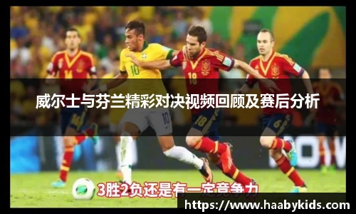 威尔士与芬兰精彩对决视频回顾及赛后分析